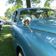 Image for article titled An Automotive Feast For The Eyes In Connecticut